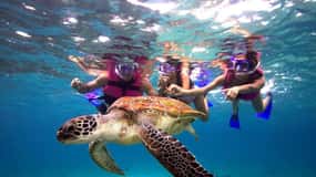 San Juan Snorkeling Tour with Roundtrip Transportation
