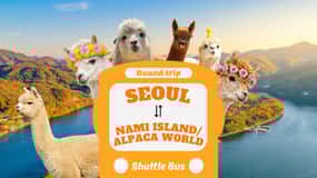 Séoul de/vers l'île de Nami ou Alpaca World : Service de navette
