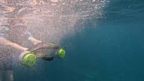 Teneriffa: Kajaktour mit Tieren und Unterwasserscootern