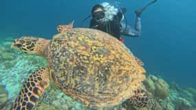 Tenerife - Découverte de la plongée sous-marine avec instructeur