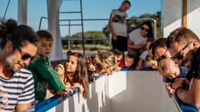 FAŽANA: PARCO NAZIONALE DI BRIUNI TOUR PRIVATO IN BARCA DI VETRO