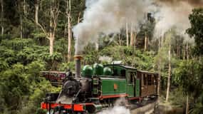Melbourne: Puffing Billy Steam Train & Penguin Parade Tour