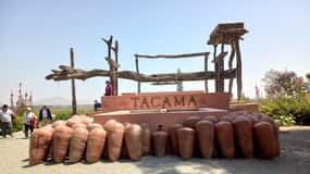 De Ica ou Huacachina: Visita a Vinha e Adega Artesanal de Tacama.