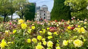 Hiroshima Must-See Highlights: Private Tour with a Local