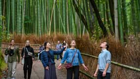 Kyoto to Arashiyama Day Trip - Private & Personalized
