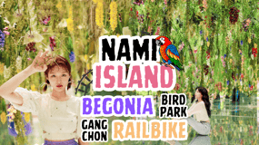 Seúl: Excursión de un día a la Isla de Nami y al Parque de las Aves de Begonia y Railbike