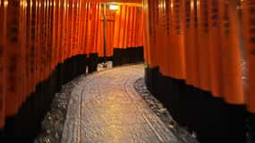 Au départ d'Osaka/Kyoto : visite privée de Kyoto-Nara (journée)