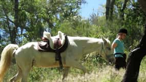 Randonnée à cheval dans la vallée d'Arrabida, deux heures