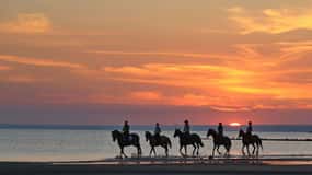 Agadir and Taghazout: Morning Horse Ride on The Beach