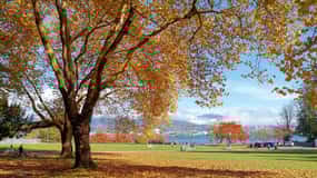 Vancouver: Guided City Sightseeing Tour