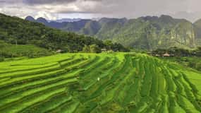 Desde Hanói: Excursión de 2 días a la Reserva Natural de Mai Chau y Pu Luong