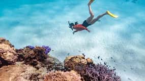 Exmouth Aventura guiada de snorkel en el Arrecife Ningaloo