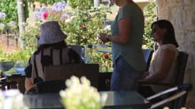 Half day Wine and Sights Discovery Tour Busselton