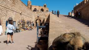 Au départ de Marrakech : Excursion en ville et en mer à Essaouira
