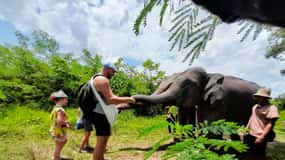 Phuket: Etisk øko-guide byvandring i elefantreservat