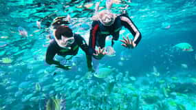 Bohol: Balicasag Private Island Hopping Tour