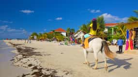 Ricks cafe & 7mile Beach Private Tour from Montego Bay.