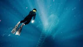 Viaggio SCUBA per la conservazione marina in Belize