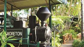 The Sunshine Coast: The Ginger Factory Play Taste & Discover