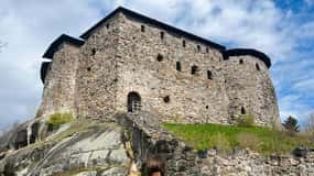 From Helsinki: Raasepori Castle Ruins & Ekenäs Old Town