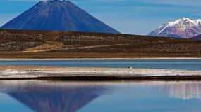 Offer Price: Tour Salinas Lagoon-National Reserve (Arequipa)