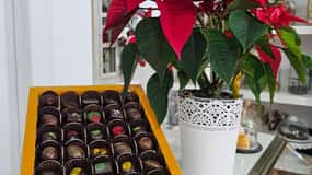 Tavira City & Chocolate