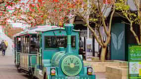 Mandurah: Big Toot – City Tour Hop-on/off all day Ticket