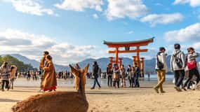 Dagstur til Hiroshima og Miyajima med Itsukushima-helligdommen