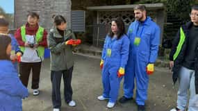 Chengdu: Dujiangyan Panda Base Volunteering Day Trip