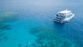 Cairns: Great Barrier Reef Overnight Snorkeling Boat Trip