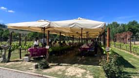 From Rome: Siena and S. Gimignano, Tuscany Wine One Day Tour
