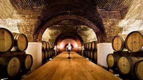 Lisbon: Private Full Day Evora & Alentejo Wine Tour