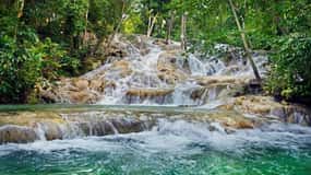 Ocho Rios: Dunn's River Falls and Shopping Tour