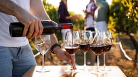 Visita i vigneti e scopri i vini di Bandol