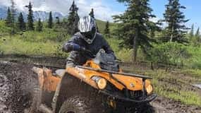 Willow: Dog Sledding & ATV/UTV Combo Tour