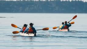 Telegraph Cove: Passeio de caiaque de um dia