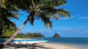 Oahu: Private Tour Waikiki-Full Circle Island-Customizable