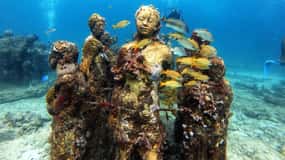 Cancun: Podwodne muzeum Musa i rafa Discover Scuba Diving