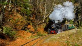 With the steam train through Transylvania- 8 Day