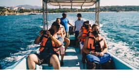 Dolphins and whales watching in Puerto Escondido.
