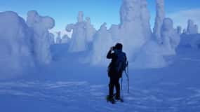Riisitunturi National Park Snowshoe Experience