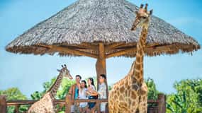 Hoi An Vinwonders Nam Hoi An Theme Park Ticket de entrada