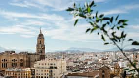 From Seville: Malaga Private Day Trip with Guide