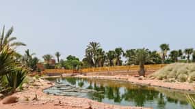 Agadir: Crocoparc Entry Ticket mit Transfers, Guide und Tee