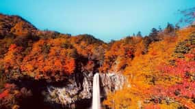 Tour privato di Nikko con autista esperto che parla in inglese