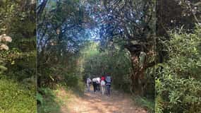 Kathmandu: 2-Day Chisapani and Nagarkot Hiking Tour