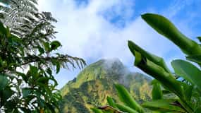 Dominica: Hiking tour to the boiling lake!