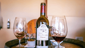 Priorat: Jeep Tour & Foodies lunch from Barcelona