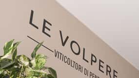Experience in Valdobbiadene: Winery Tour & Wine Tasting