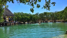 Rio Lagartos Expedition: boat journey through the mangrove